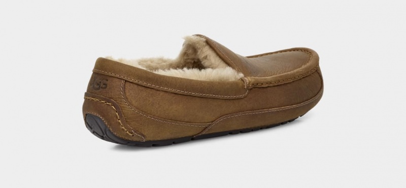 Papuci Ugg Ascot Matte Piele Barbati Maro | 3489SHCVT