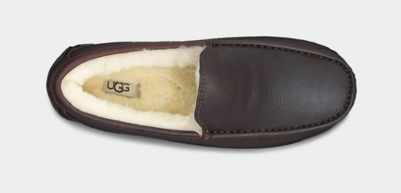 Papuci Ugg Ascot Piele Barbati Maro Inchis | 7824RVDKT