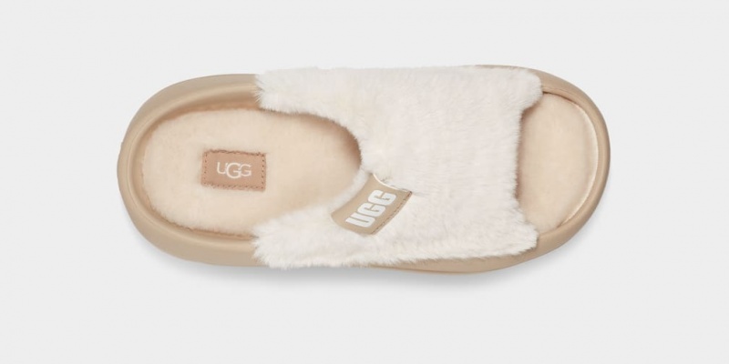 Papuci Ugg FoamOplush Dama Muștar | 0213MLADW