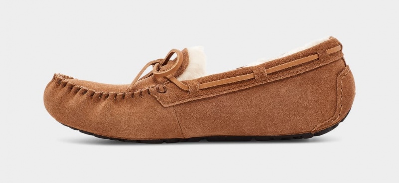 Papuci Ugg Olsen Barbati Maro | 5317TUZFW