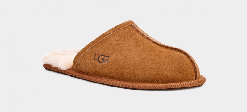 Papuci Ugg Scuff Barbati Maro | 4831IREXZ