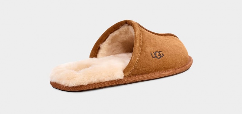 Papuci Ugg Scuff Barbati Maro | 4831IREXZ