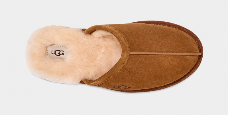 Papuci Ugg Scuff Barbati Maro | 4831IREXZ