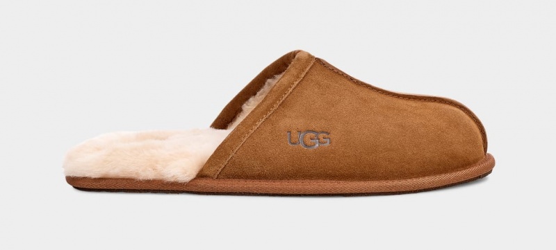 Papuci Ugg Scuff Barbati Maro | 4831IREXZ