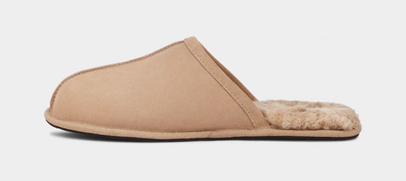 Papuci Ugg Scuff Barbati Maro | 5712SNKBI