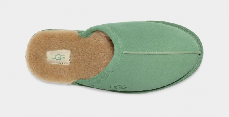 Papuci Ugg Scuff Barbati Verzi | 7460ELCRP