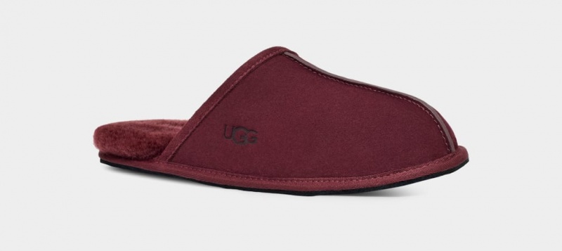 Papuci Ugg Scuff Barbati Violet | 1875KZPOE