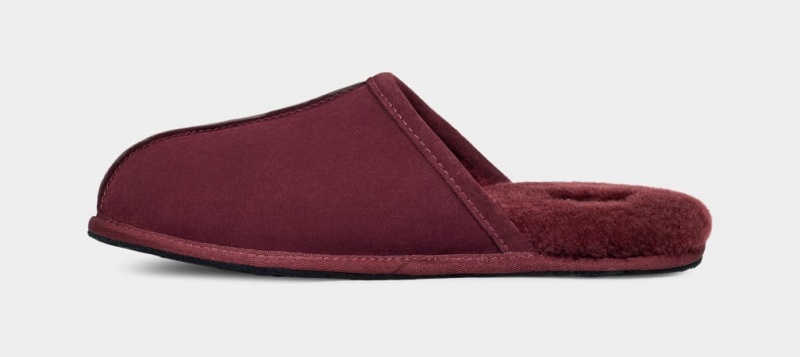 Papuci Ugg Scuff Barbati Violet | 1875KZPOE