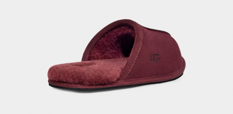 Papuci Ugg Scuff Barbati Violet | 1875KZPOE