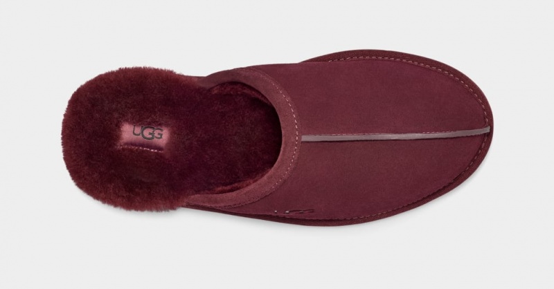 Papuci Ugg Scuff Barbati Violet | 1875KZPOE