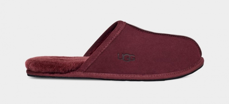 Papuci Ugg Scuff Barbati Violet | 1875KZPOE