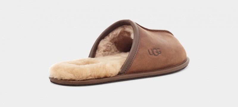 Papuci Ugg Scuff Piele Barbati Maro | 5274FUCGP