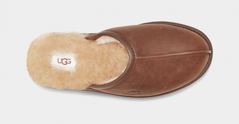 Papuci Ugg Scuff Piele Barbati Maro | 5274FUCGP