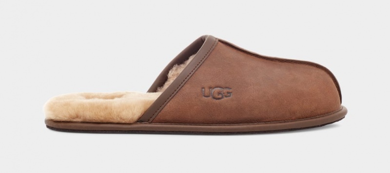 Papuci Ugg Scuff Piele Barbati Maro | 5274FUCGP