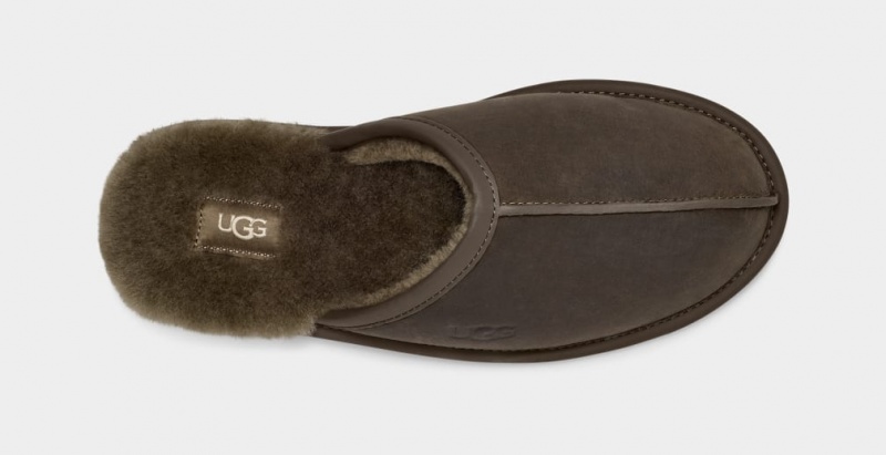 Papuci Ugg Scuff Piele Barbati Masline Verzi | 8395DPOZF