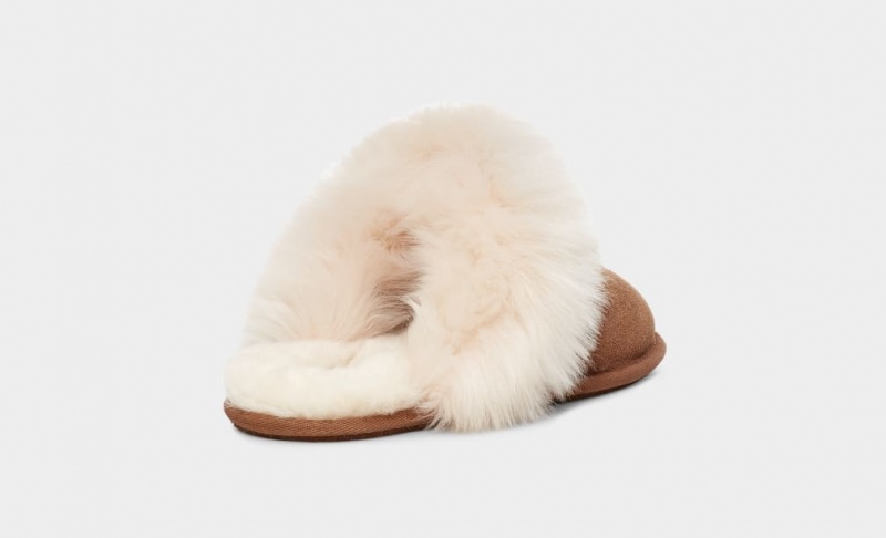 Papuci Ugg Scuff Sis Dama Maro | 9176COHPG