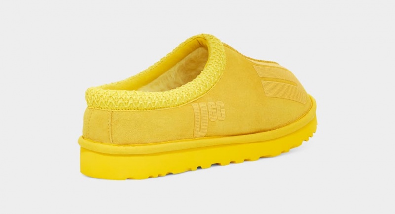 Papuci Ugg Tasman Scatter Grafice Barbati Galbeni | 8023LNCAI