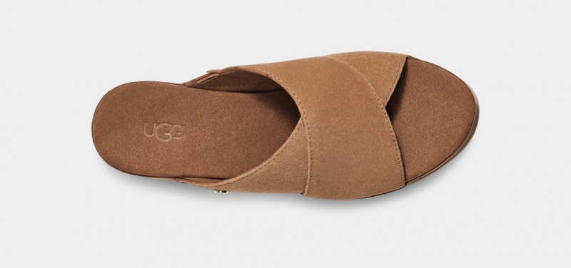 Slapi Ugg Abbot Dama Maro | 3028SQJYB