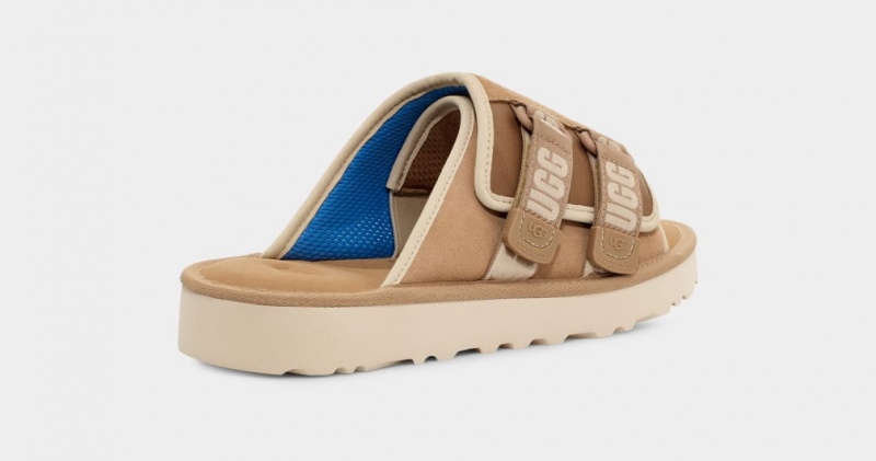 Slapi Ugg Goldencoast Curea Barbati Maro | 2604DCVNG