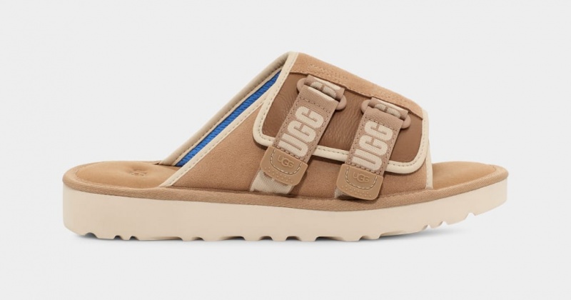 Slapi Ugg Goldencoast Curea Barbati Maro | 2604DCVNG