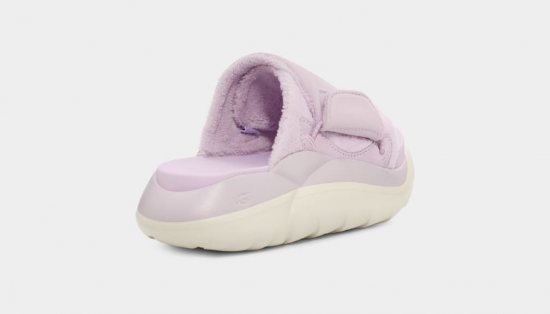 Slapi Ugg LA Cloud Dama Lavanda | 5690ANFPT