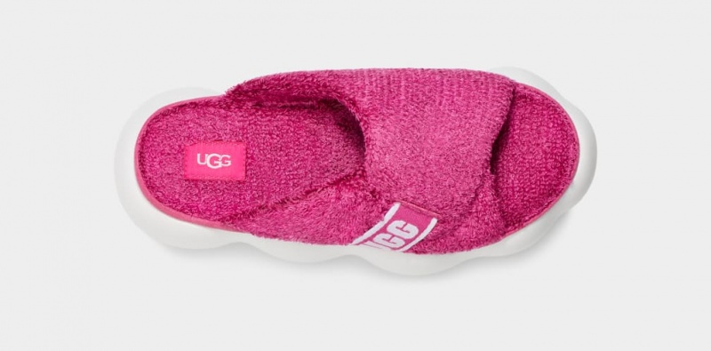 Slapi Ugg Sugarcloud Dama Roz | 8436GSBHT