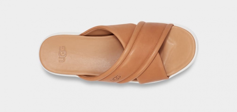 Slapi Ugg Zayne Crossband Dama Maro | 2604DCPGK